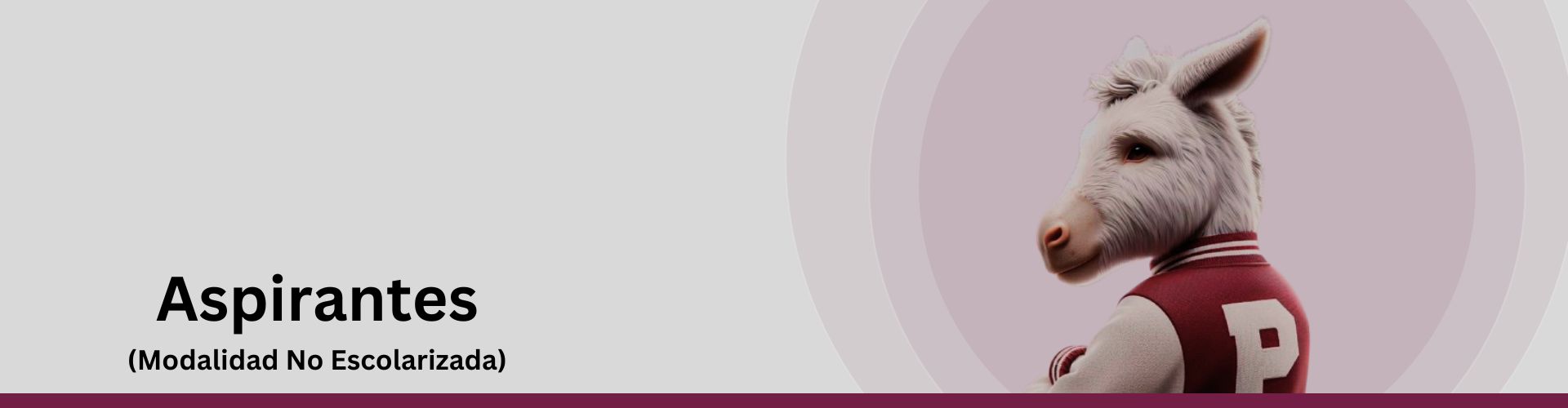 Aspirantes a ingresar al Nivel Medio Superior en el Cecyt No. 19 